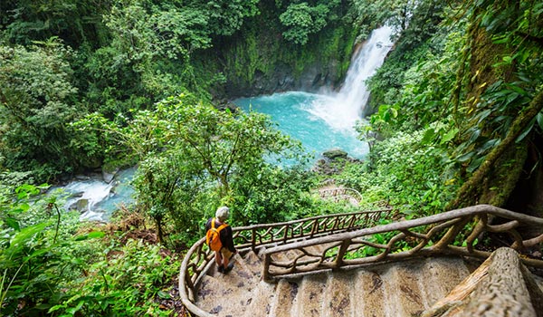 Homme descendant des escaliers vers une chute d’eau dans la jungle