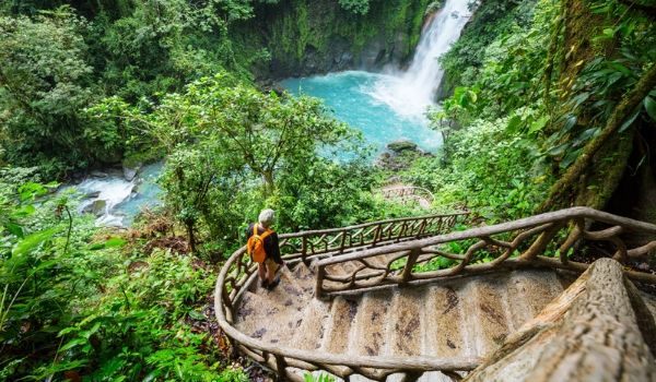 Man walking down the stairs towards a jungle waterfall