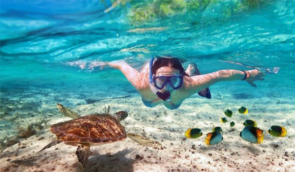 Photo sous-marine d’une personne faisant de la plongée avec tuba parmi des poissons colorés et une tortue de mer