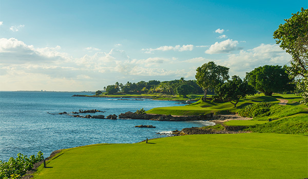 Golf course overlooking the ocean with lush trees