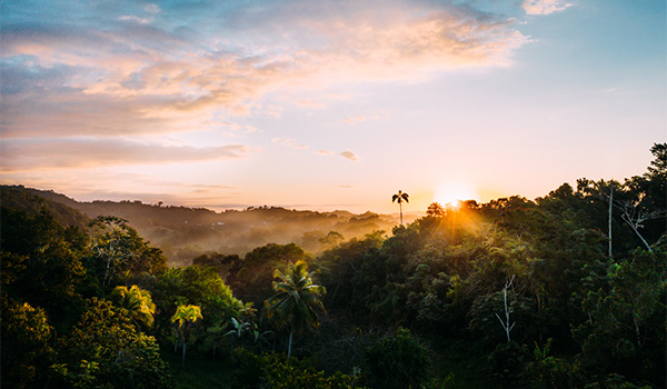 Paysages de campagne jamaïcaine recouverte de collines, au coucher du soleil