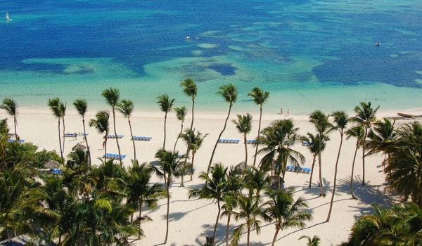 White-sand beaches dotted with palm trees in Punta Cana