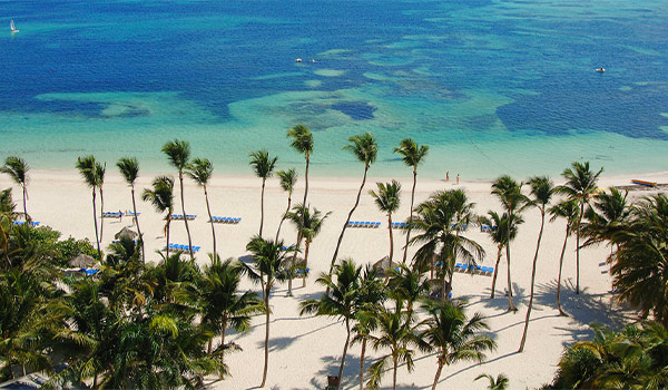 Plages de sable blanc parsemées de palmiers à Punta Cana