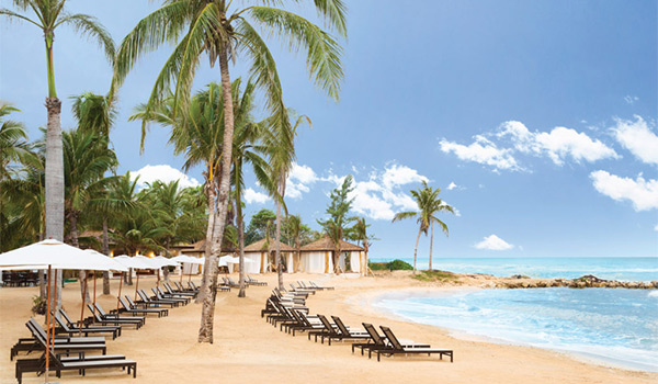 Pristine white-sand beach with turquoise waters lined with palm trees