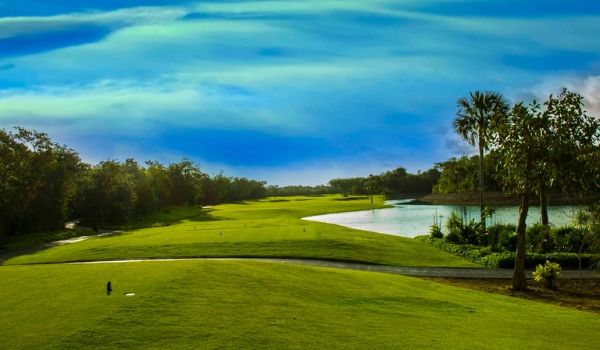 Green fairways of a golf course