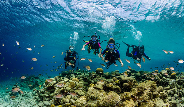 Four people scuba diving among tropical fish above a coral reef