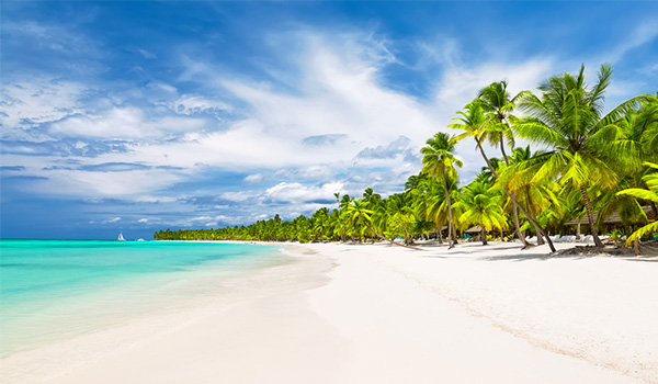 Pristine deserted beach with lush palms lining the shores