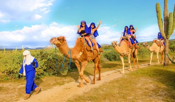 Group of people riding through the desert on camels