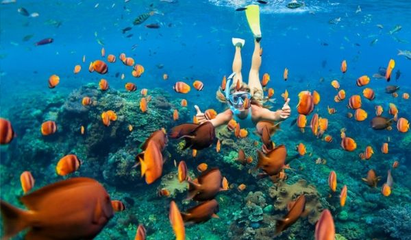 Femme faisant de la plongée avec tuba parmi un banc de poissons tropicaux