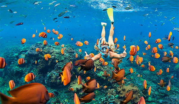 Femme faisant de la plongée avec tuba parmi un banc de poissons tropicaux