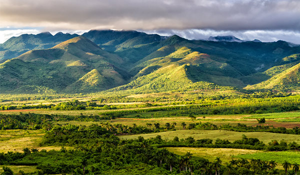 Champ de canne à sucre entouré de montagnes luxuriantes