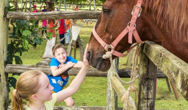 Children petting horse