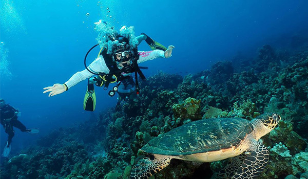 Person scuba diving next to a sea turtle, above a coral reef