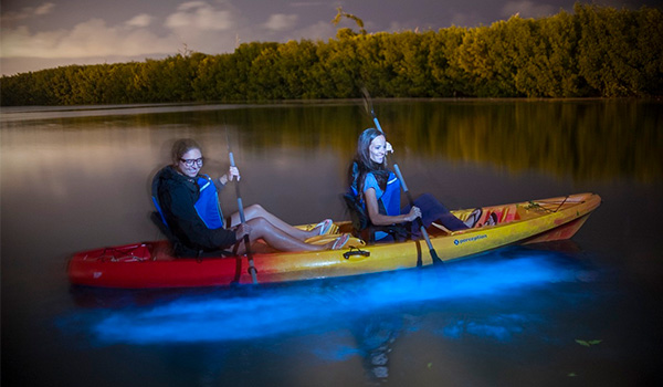 Two people kayaking through a lagoon with water glowing blue underneath them