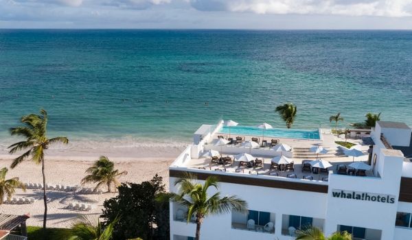 Aerial view of pool and bar on top of a hotel overlooking the ocean