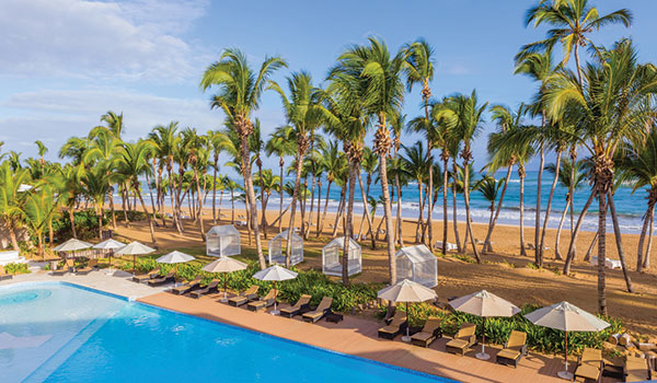Chaises longues au bord de la piscine surplombant la plage bordée de palmiers