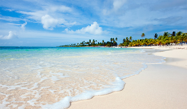 Plage immaculée de sable blanc bordée de palmiers