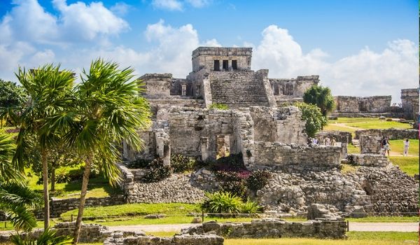 Ancient Mayan ruins on a hillside surrounded by palm trees
