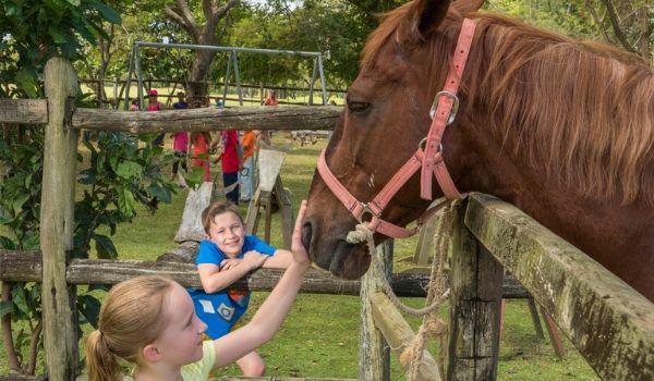 Jeune fille flattant un cheval