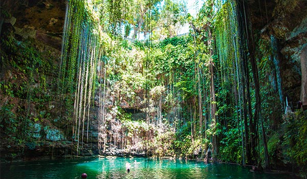 Beautiful cenote with vines hanging down and an opening at the top