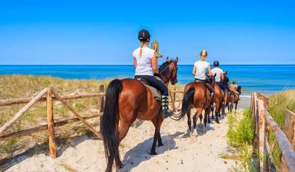People horseback riding on the beach