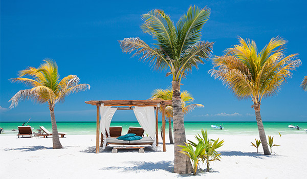 Bali bed surrounded by palm trees on a secluded beach