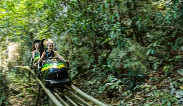 Deux filles en bobsleigh, faisant la course dans la forêt