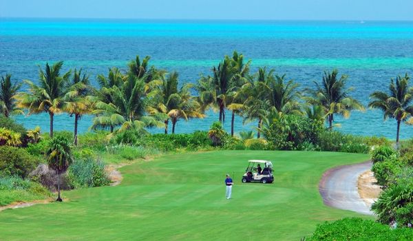 Lush golf course overlooking the ocean and palm trees
