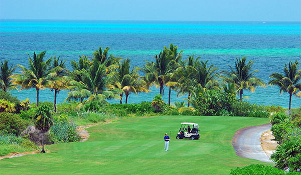 Lush golf course overlooking the ocean and palm trees