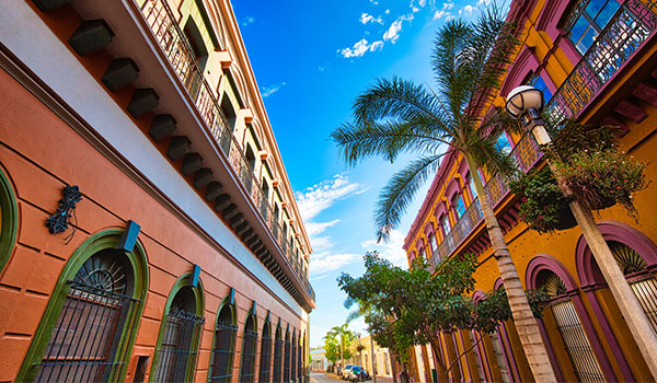Historic buildings lining the street with palm trees