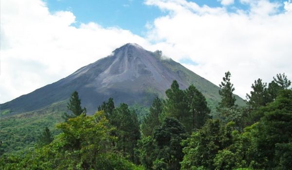 Mountain top peaking out over lush forest
