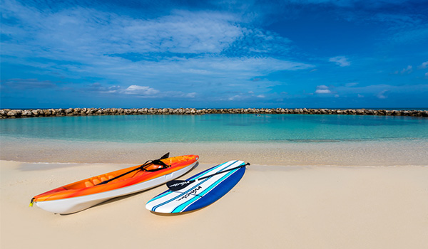 Two paddle boards resting on a white-sand beach overlooking the ocean.