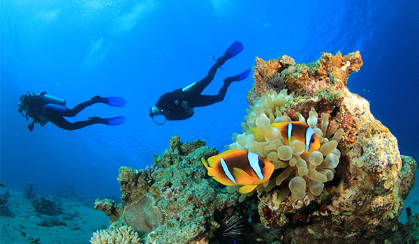 Deux plongeurs dans la mer, au-dessus de récifs coralliens et d’une vie marine tropicale.