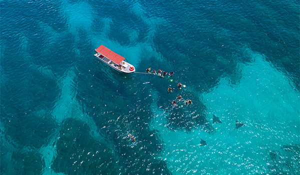 Aerial view of boat and divers swimming near manta rays