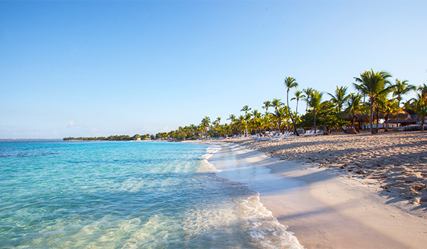 Plage de l’île Catalina