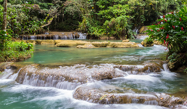 Series of low waterfalls in the jungle