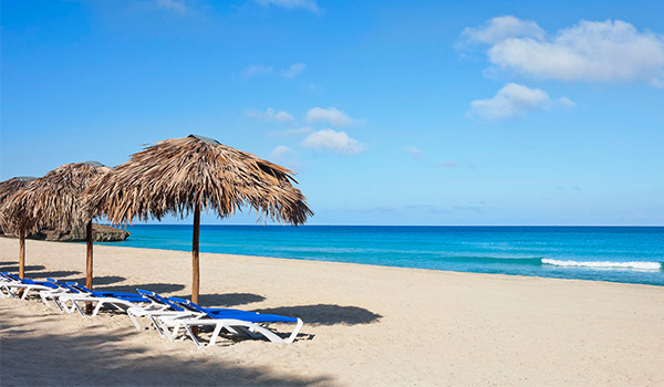 Sun loungers and palapas on a pristine beach overlooking the ocean