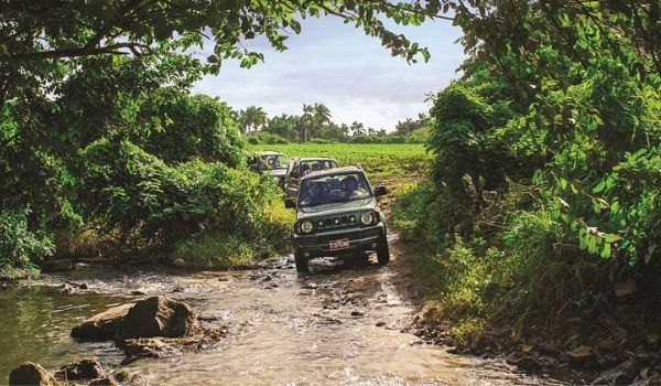Jeep driving through jungle