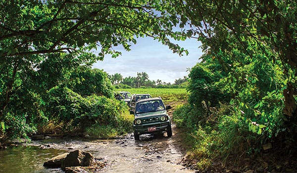 Jeep traversant la jungle