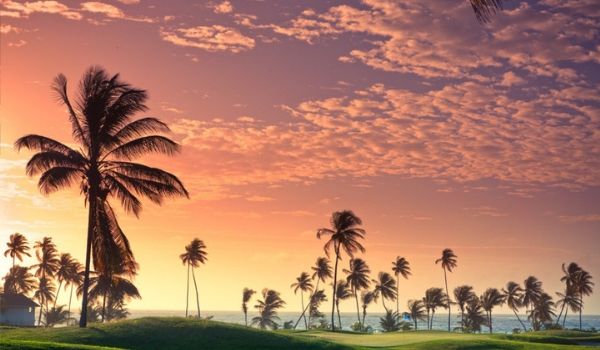 Golf course with views of the coast at sunset