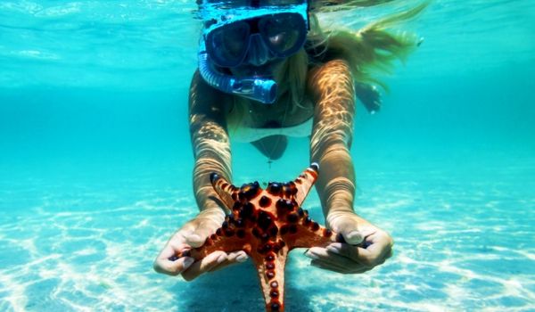 Snorkelling with starfish