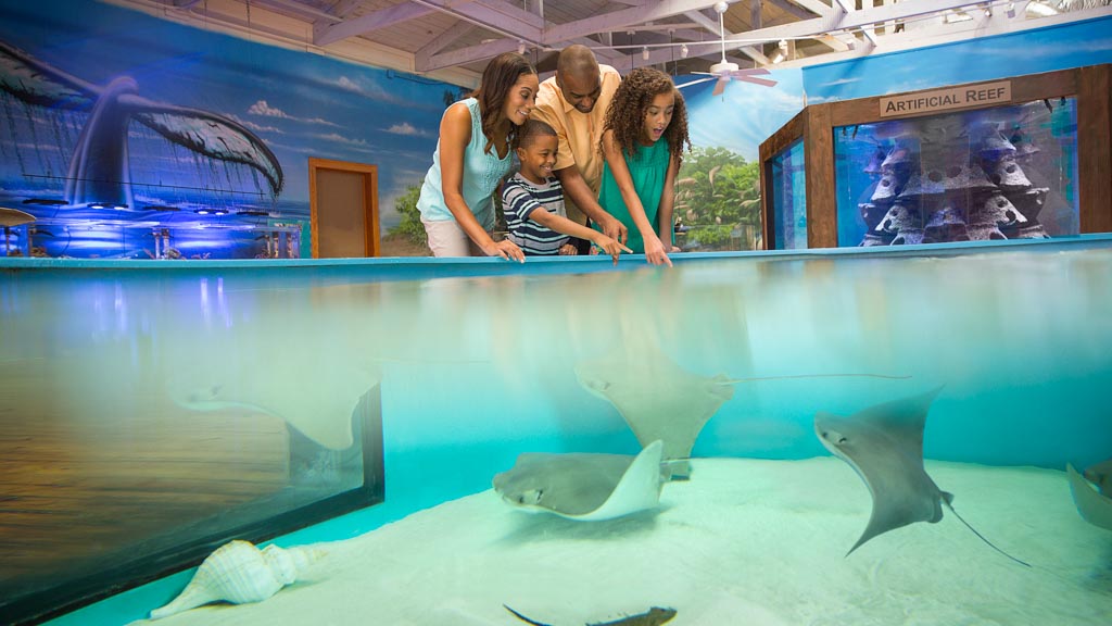 Daytona Beach Vacation Packages Sunwing.ca