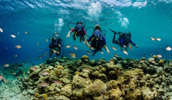 Group of scuba divers swimming near reef