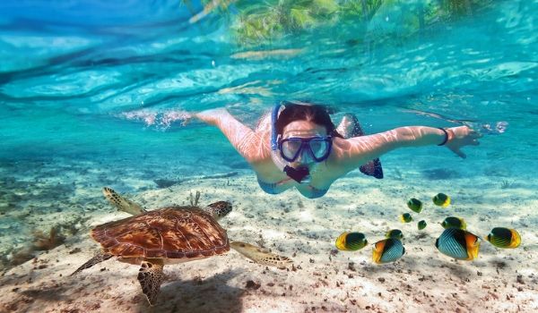 Girl snorkelling beside a sea turtle and colourful fish