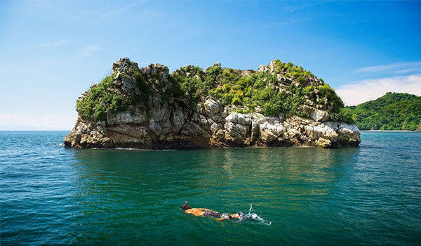 Person snorkelling in front of an island