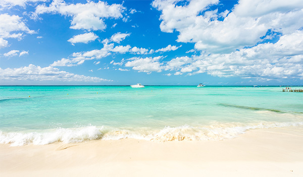 Pristine beach overlooking the ocean