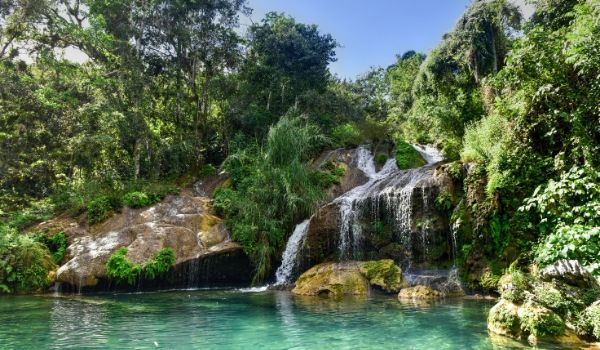Small waterfall with a pool at the bottom surrounded by lush forest