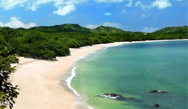Costa Rican rainforest blending into the beach