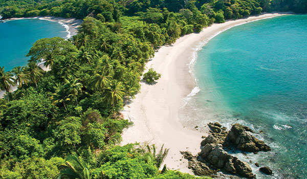 Forêt vierge du Costa Rica descendant jusqu’à la plage