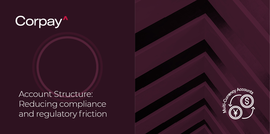 The Regulatory Friction and Competitive Landscape